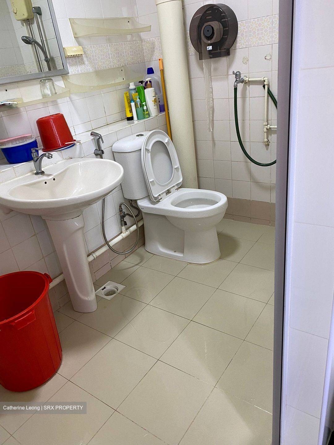 Blk 605 Elias Road (Pasir Ris), HDB Executive #408700881